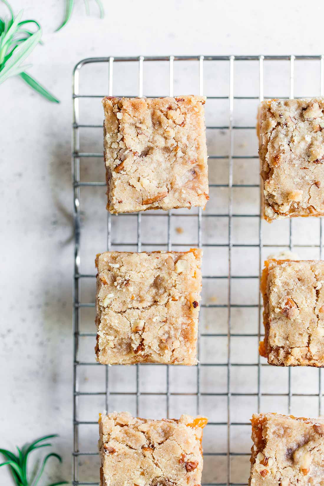 Rosemary Apricot Bars Recipe shot overhead