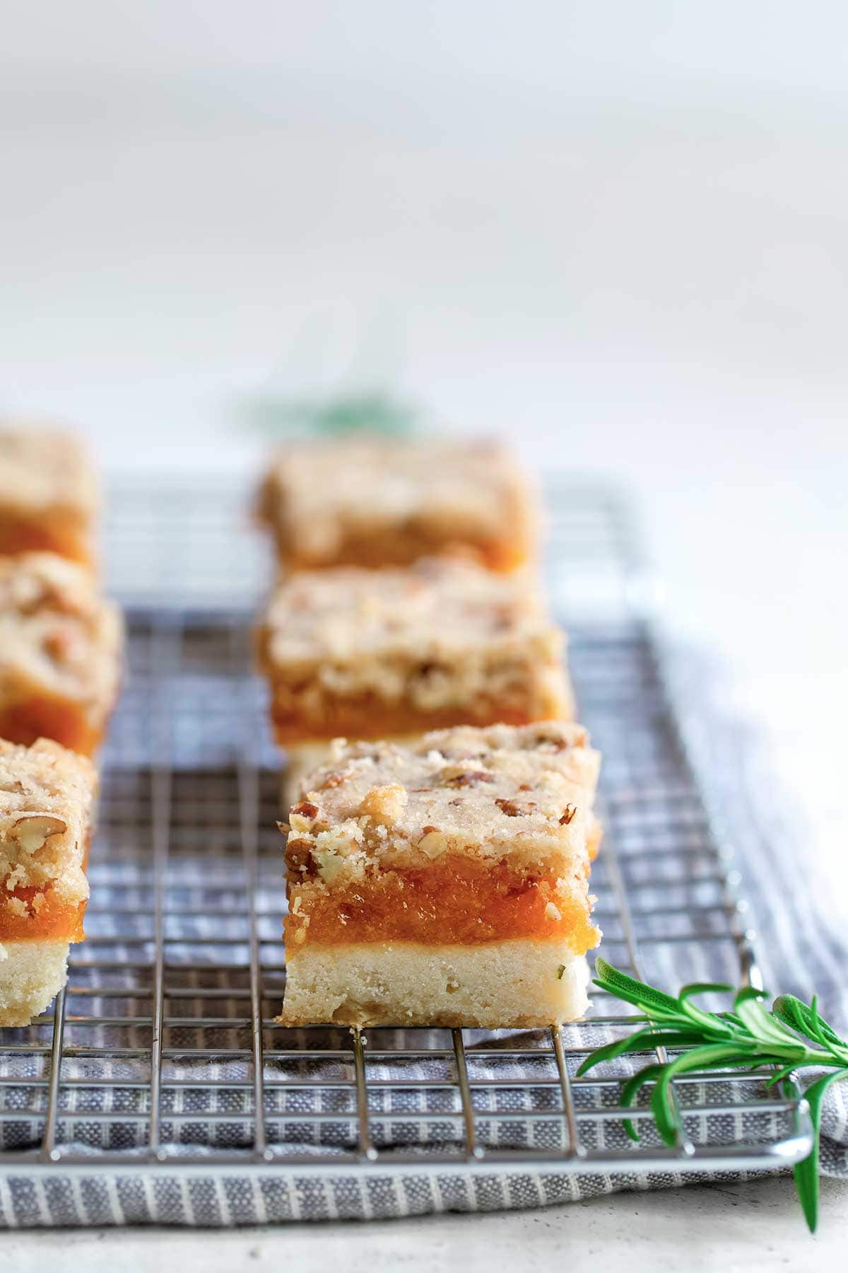 Side angle of rosemary apricot bars, highlighting filling