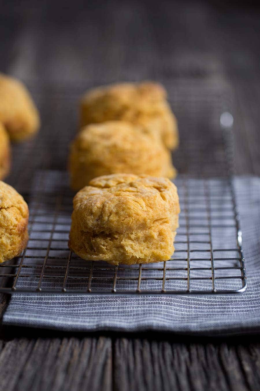 A macro closeup photo of this tender sweet potato biscuit recipe