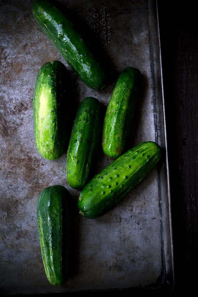 overhead shot of cucumbers on a sheet pan