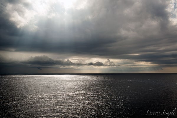 web-sunset_L6A2083