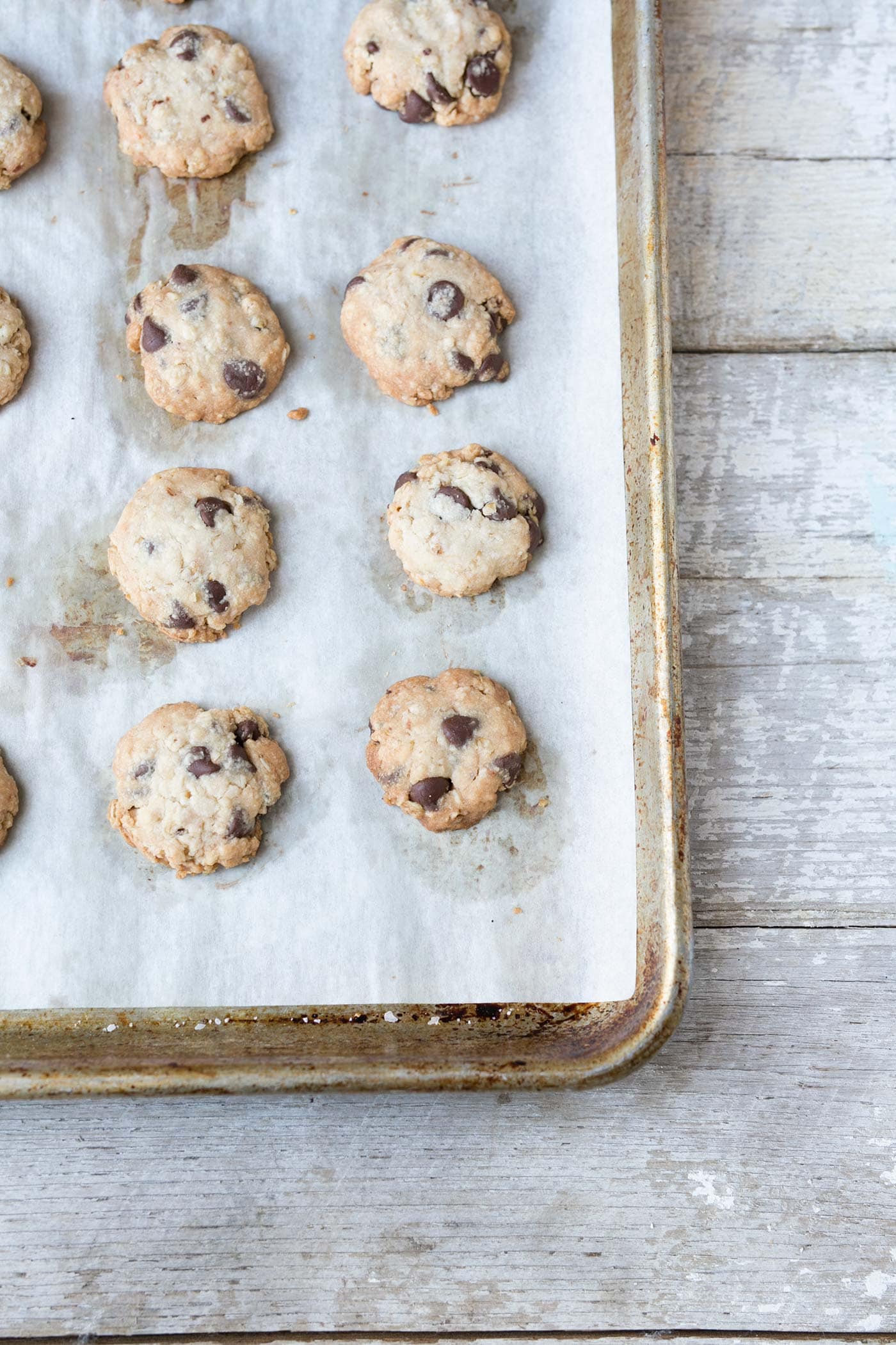 Chocolate Chip Oatmeal Shortbread Cookies are delicate, flaky & buttery. This easy recipe uses 6 basic ingredients that you probably already have on hand! Get the recipe from SavorySimple.net.