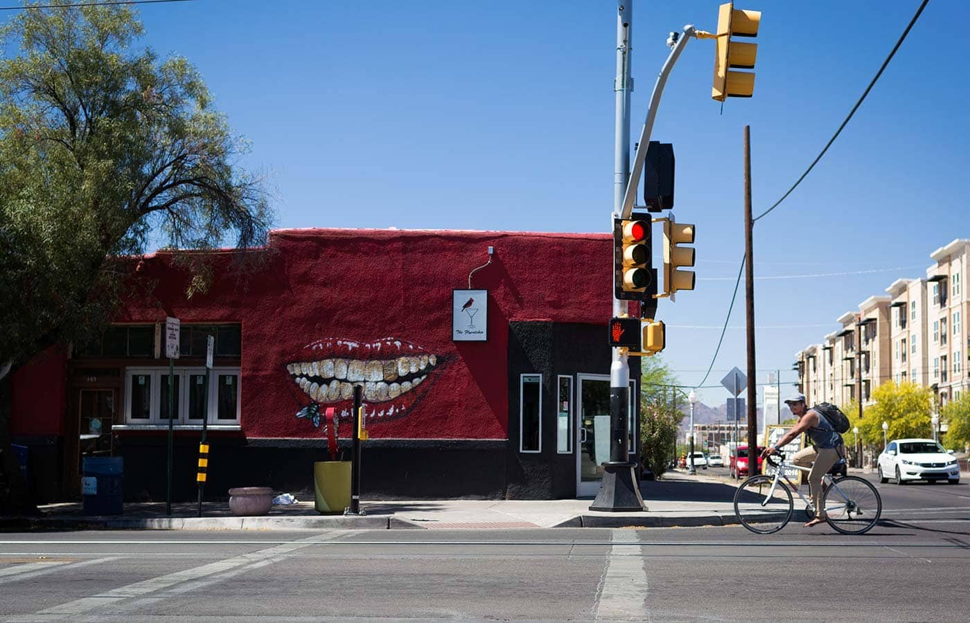 Photos from a recent visit to Tucson, Arizona and Saguaro National Park, and thoughts on the travel narrative in blogging. SavorySimple.net
