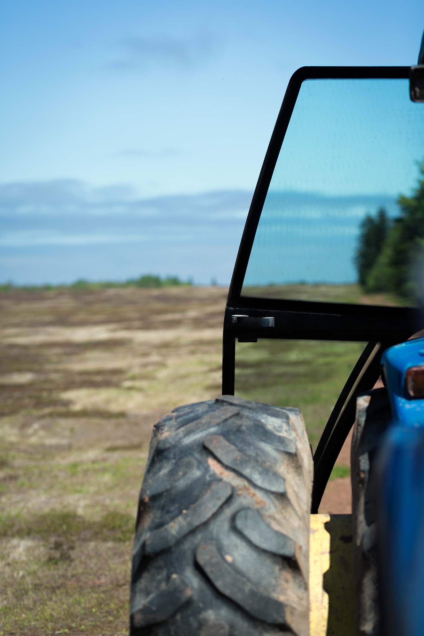 Prince Edward Island - Wyman's of Maine - SavorySimple.net