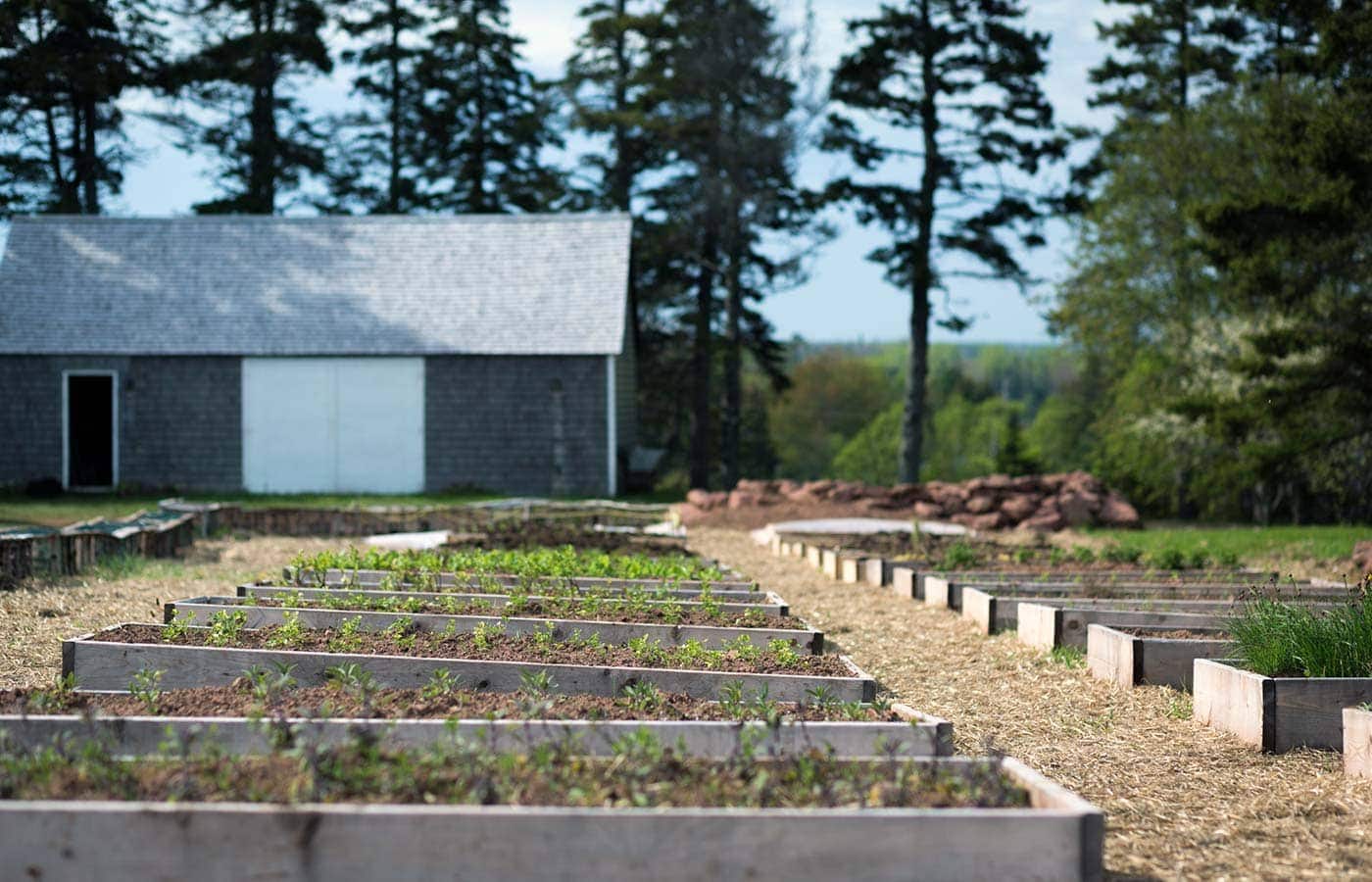 Prince Edward Island - The Inn at Bay Fortune - SavorySimple.net