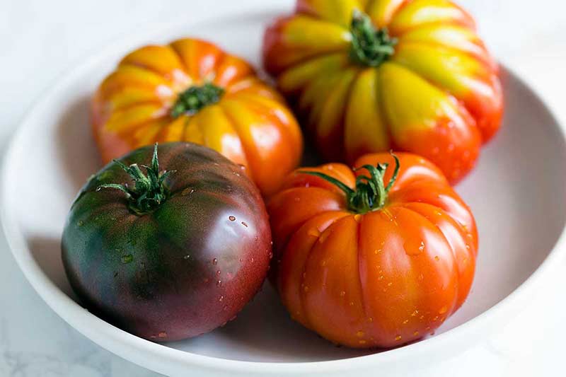 Four heirloom tomatoes of assorted colors in a white bowl.