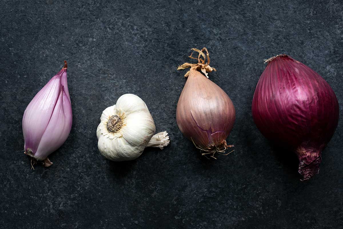 Shallots, a head of garlic, and a red onion lined up in a row