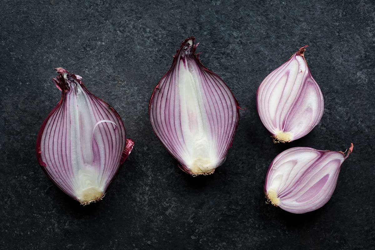 A red onion sliced down the middle next to a shallot sliced down the middle for comparison.