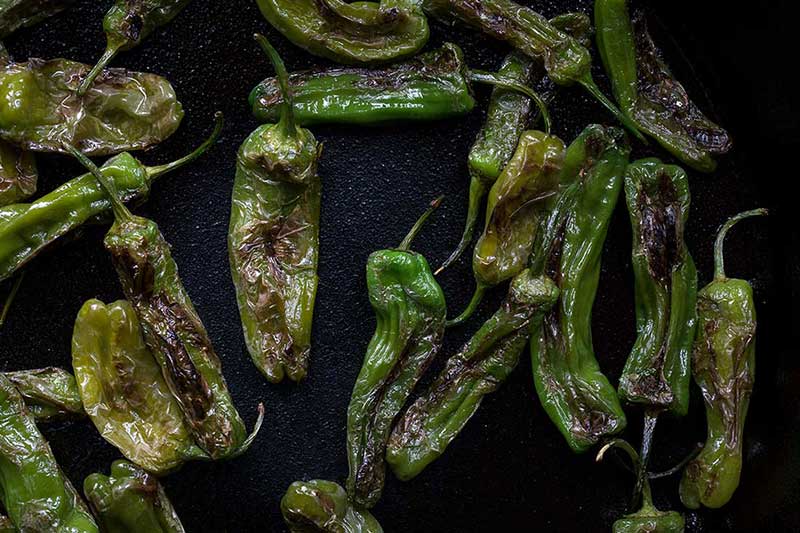 close up photo of blistered shishito peppers in a cast iron skillet