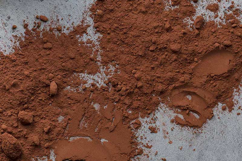 A macro close up of Dutch-process cocoa powder