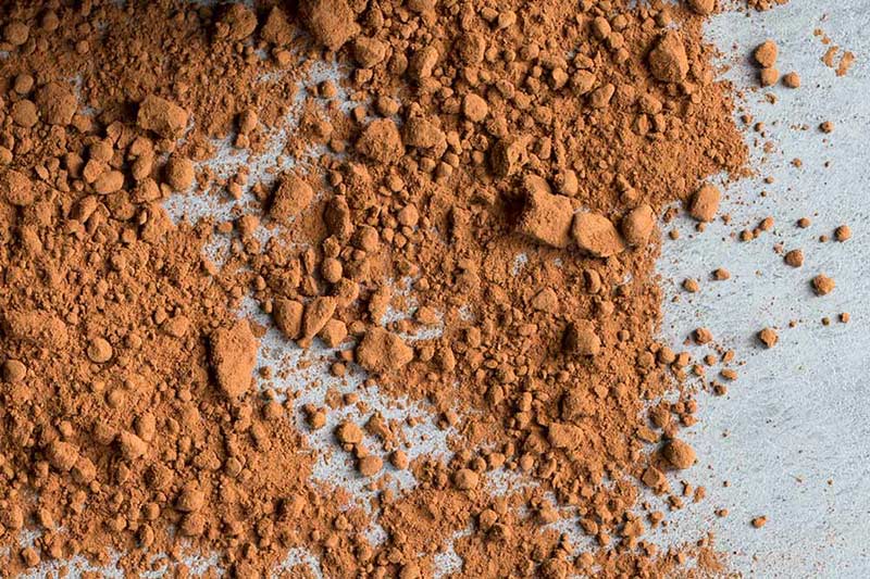 Natural cocoa powder, spread out on a slate board