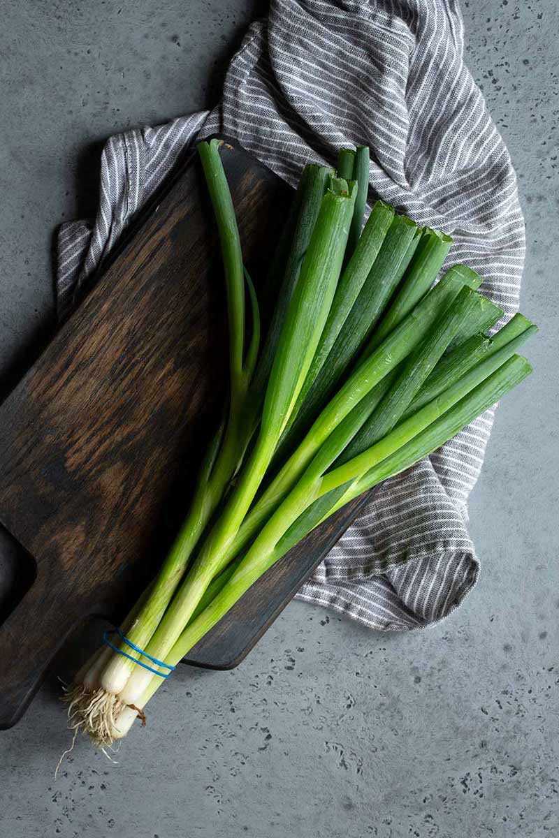 bunch of scallions on a cutting board with a napkin
