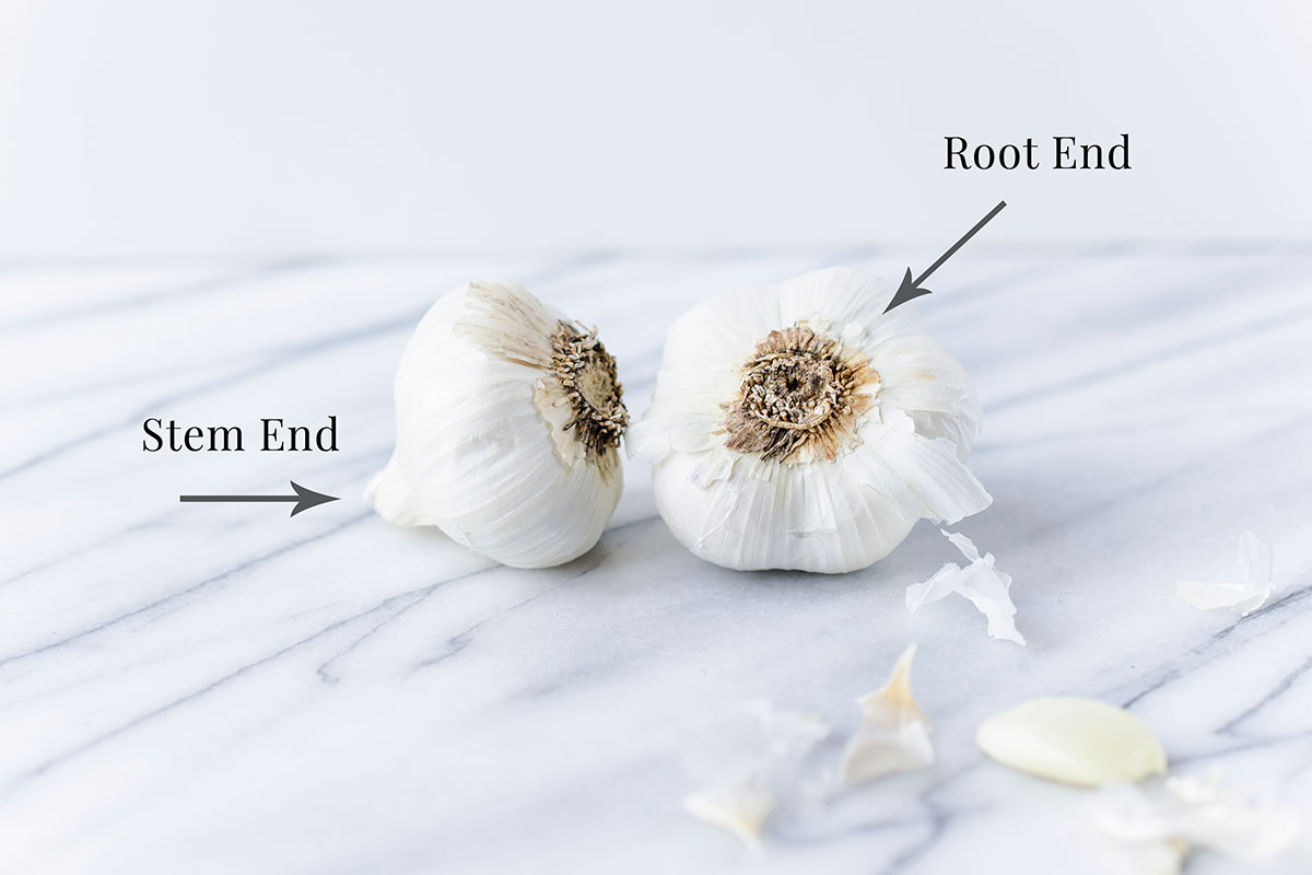 Garlic Stem end and Root end diagram