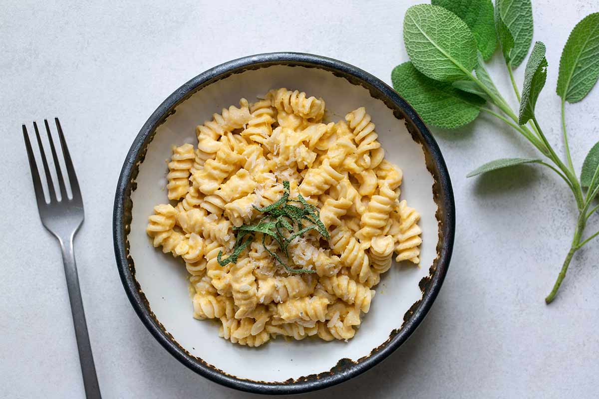 butternut squash pasta in a bowl