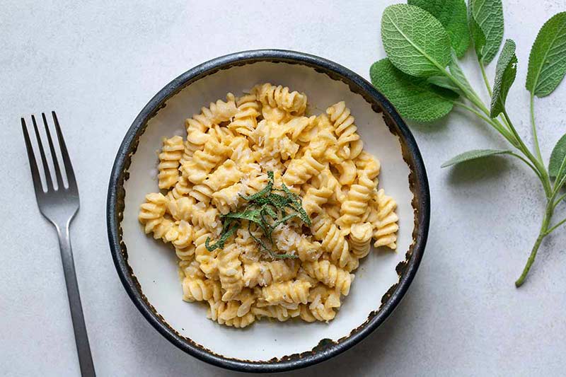 A bowl of homemade butternut squash pasta topped with thinly sliced sage