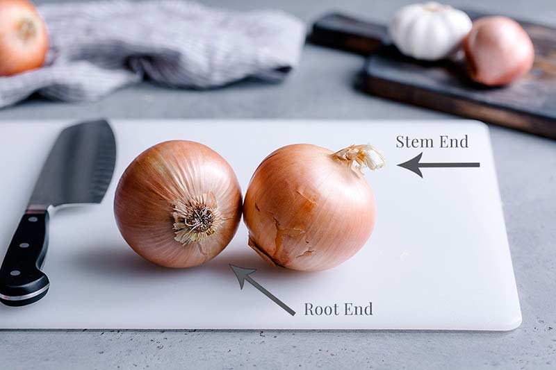 Two onions, one showing the stem end and one showing the root end
