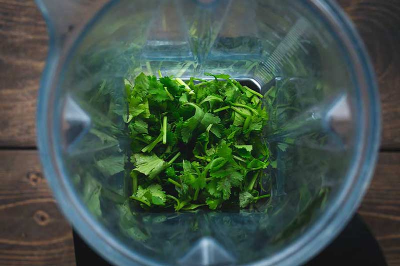 Overhead shot of cilantro in a blender