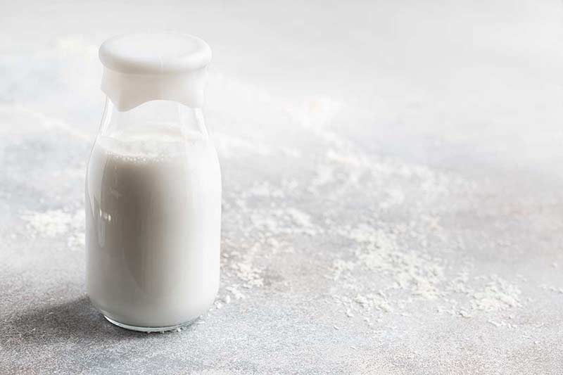 homemade coconut milk in glass jar on white surface