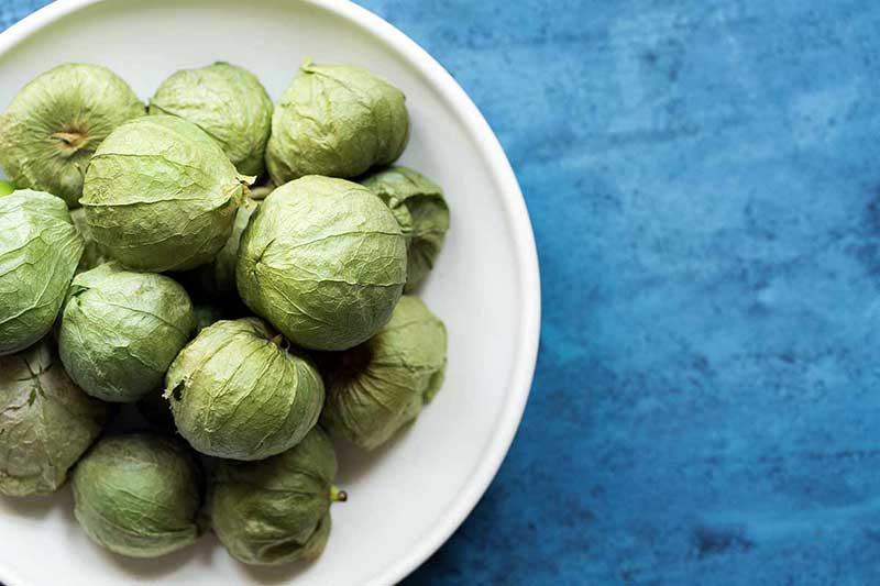 Unpeeled tomatillos in a white bowl, shot from overhead on a blue backdrop.