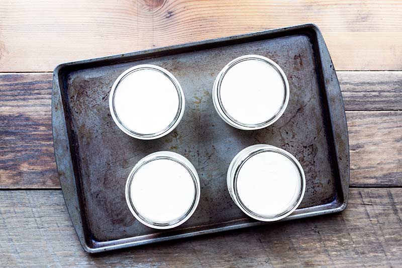 unset buttermilk panna cotta in mason jars on a tray prior to chilling