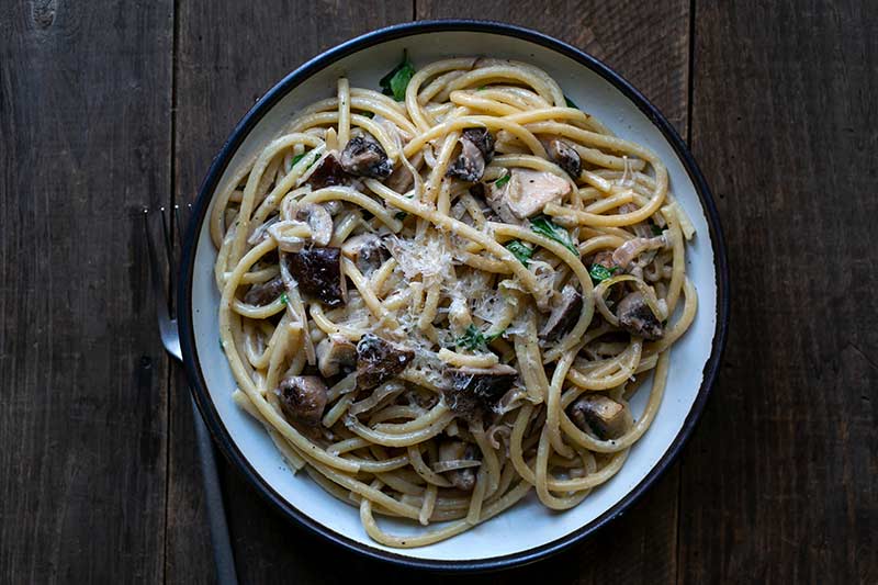 Creamy mushroom pasta recipe on a plate next to a fork