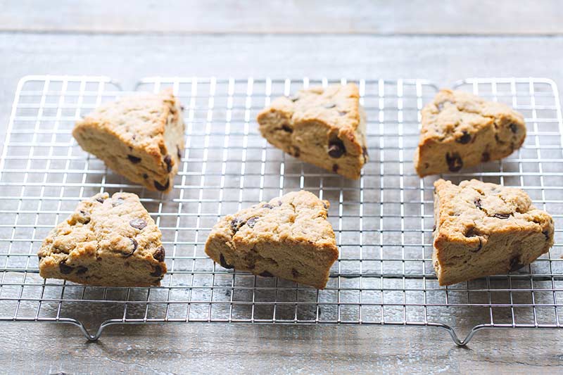 Freshly baked chocolate chip scones on a cooling rack